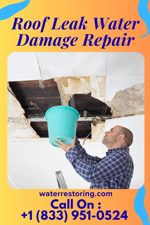 Roof Leak Water Damage Repair in Newborn, GA
